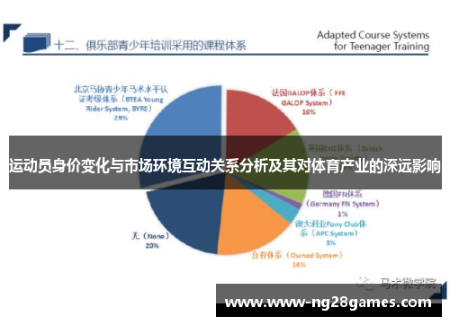 运动员身价变化与市场环境互动关系分析及其对体育产业的深远影响