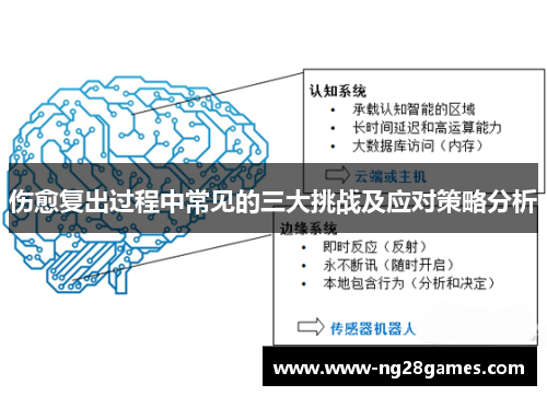 伤愈复出过程中常见的三大挑战及应对策略分析