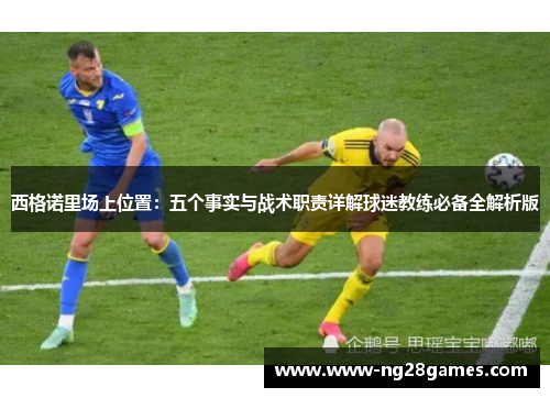 西格诺里场上位置：五个事实与战术职责详解球迷教练必备全解析版