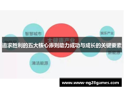 追求胜利的五大核心原则助力成功与成长的关键要素