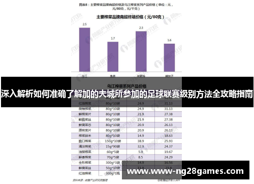 深入解析如何准确了解加的夫城所参加的足球联赛级别方法全攻略指南