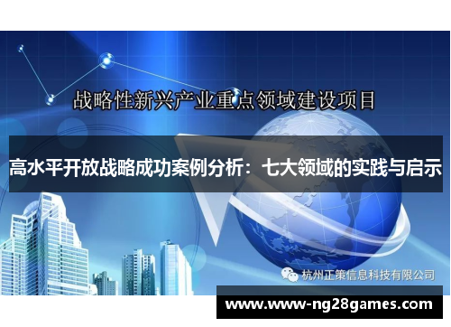 高水平开放战略成功案例分析:七大领域的实践与启示 高水平开放战略成功案例分析:七大领域的实践与启示